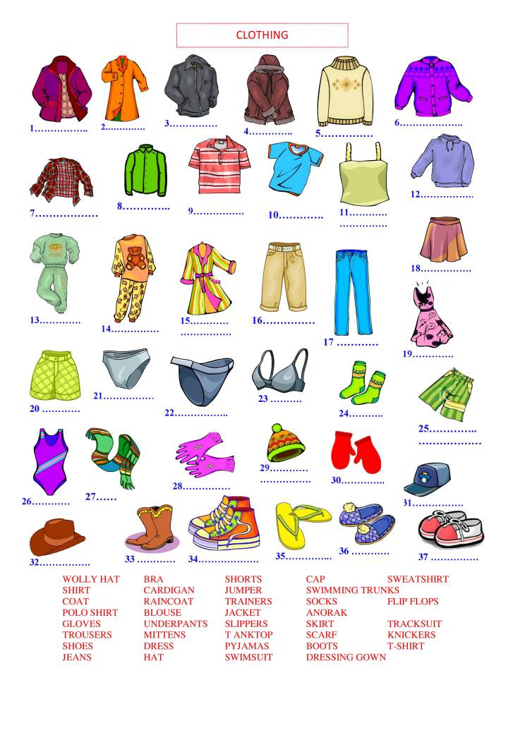 Learn The Name Of Clothes - Notes - MyPrivateTutor UAE