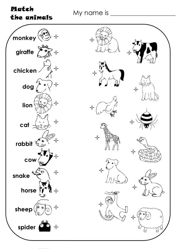 Learn To Differentiate Animals - Notes - MyPrivateTutor UAE